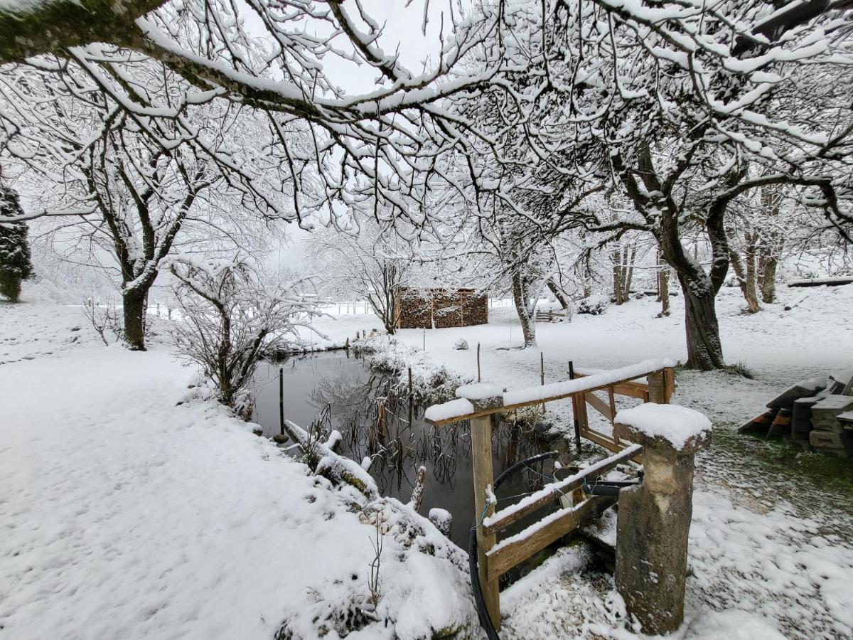 Nickis Bergcamp Appartement Schneizlreuth Buitenkant foto