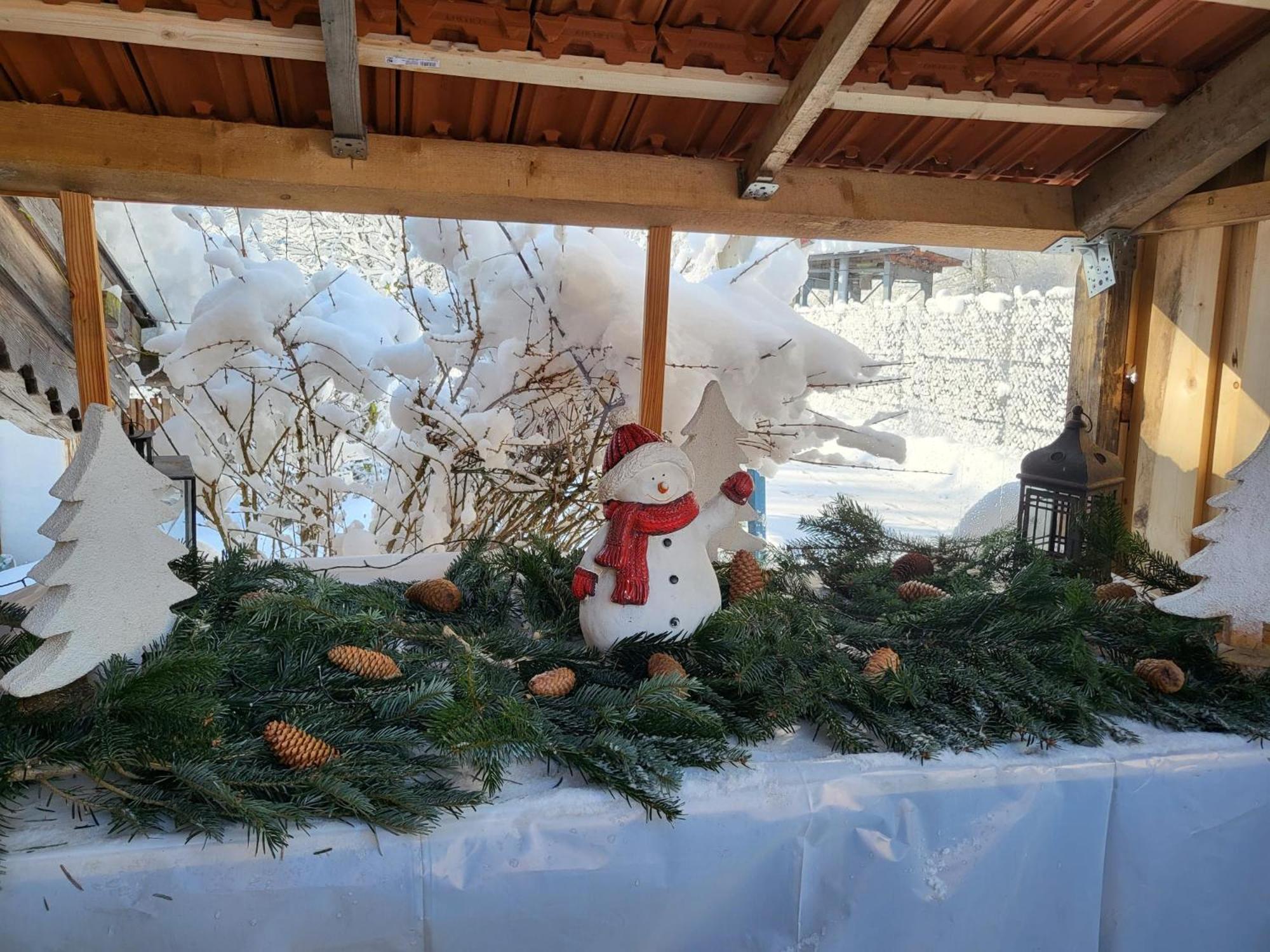 Nickis Bergcamp Appartement Schneizlreuth Buitenkant foto