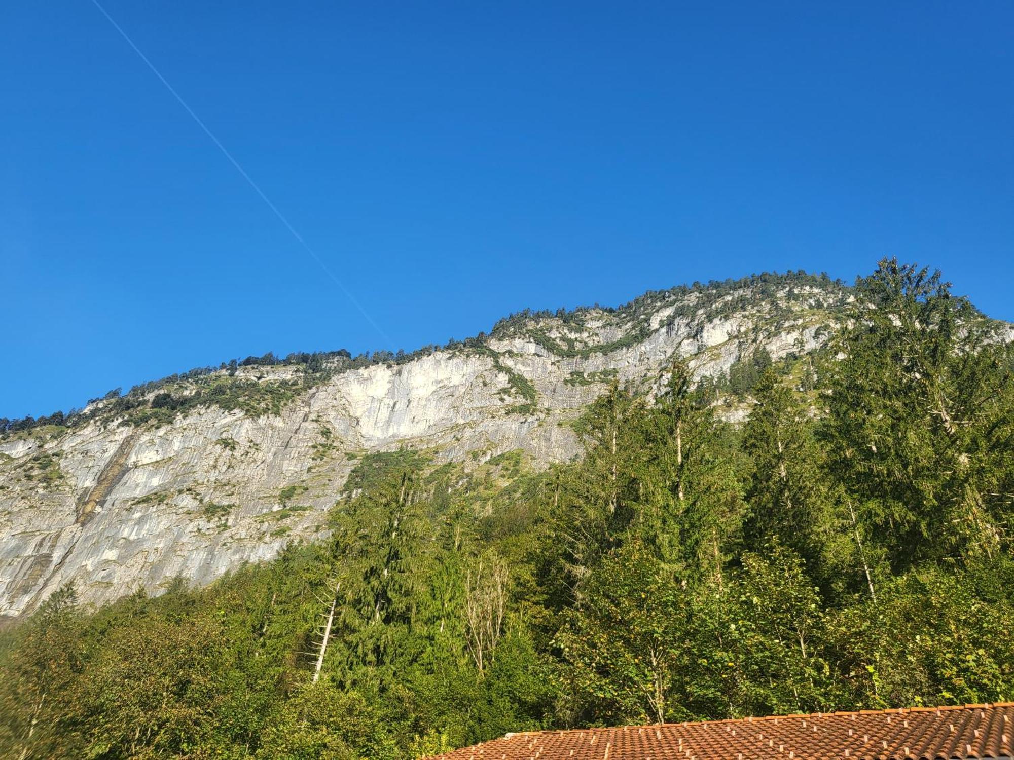 Nickis Bergcamp Appartement Schneizlreuth Buitenkant foto